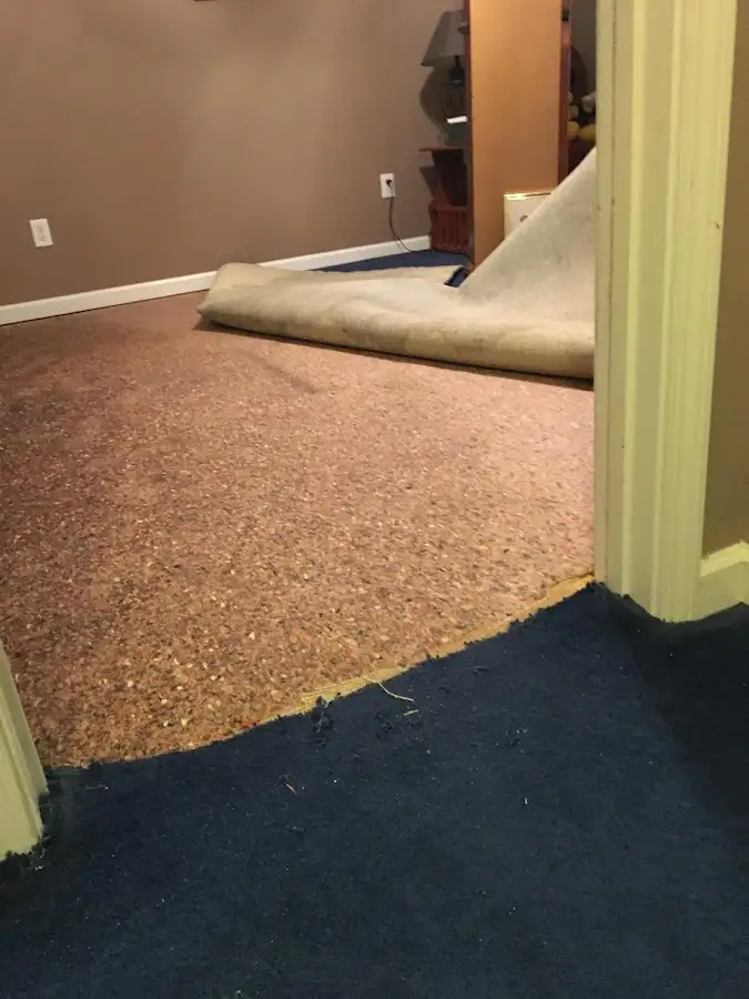 Carpet pad removal revealing water damage during Water Mitigation Services in Conneaut